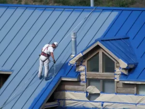 Покраска криш та покрівель в Києві та області
